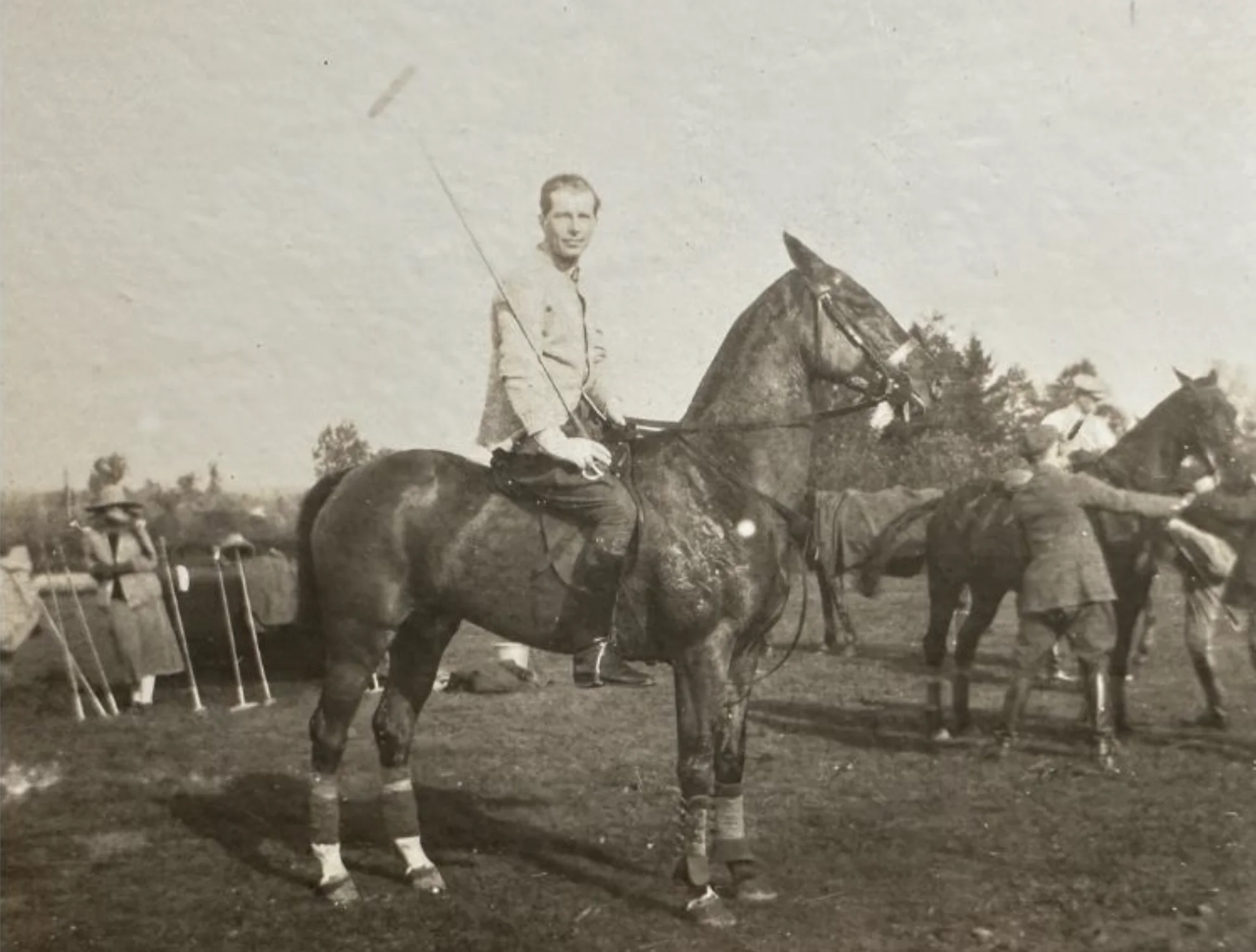 Historia polskiego polo